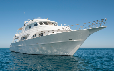 How Simba Sea Trips Optimized Lead Management Across Multiple Brands